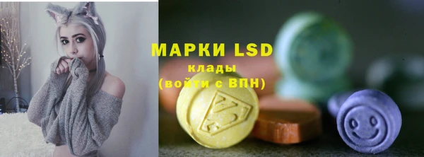 гидра Нея