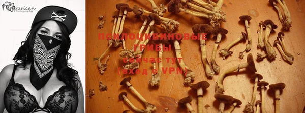 спиды Нефтекумск
