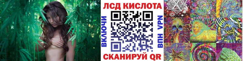 наркота  Оленегорск  Марки 25I-NBOMe 1,5мг 